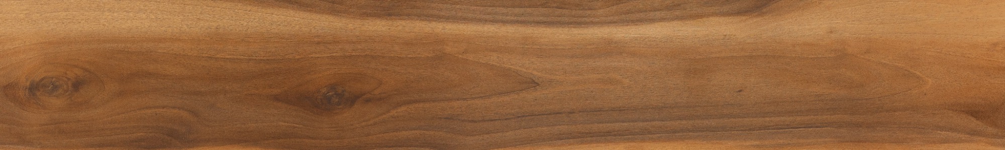 AF4073NXL Glue