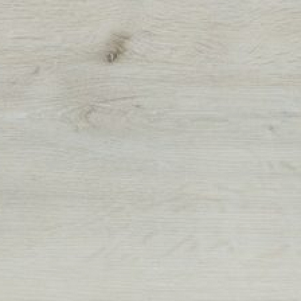 AF8007XL Glue