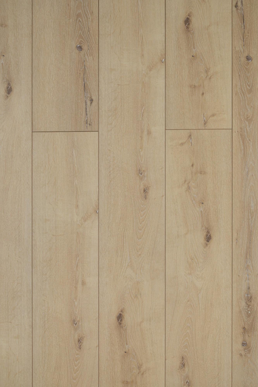 картинка AF8008XL Glue от магазина напольных покрытий Aqua-floor